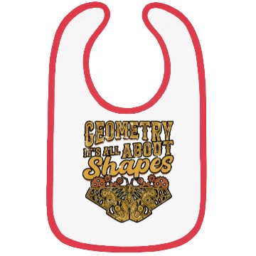 Discover Geometry: It's all about shapes - Math Bibs