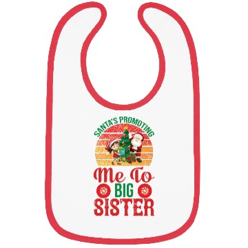 Discover Santa s promoting me to big sister Bibs