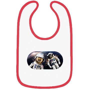 Discover Racoons in Space Bibs