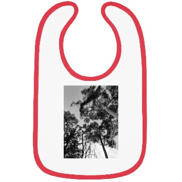 Discover 20230108 142337 Bibs