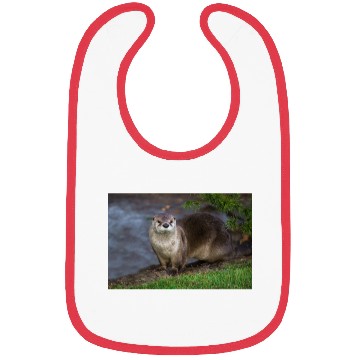 Discover Adorable Otter on the Riverbank Bibs