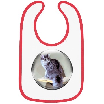 Discover Life In a Bubble Collection-Kitty on the Shelf Bibs