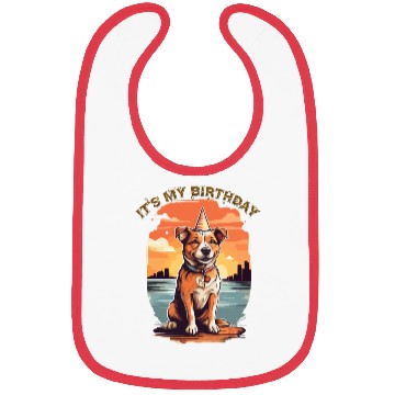 Discover It's my Birthday Design Bibs