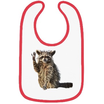 Discover Sunny Raccoon: Happy Print Collection Bibs
