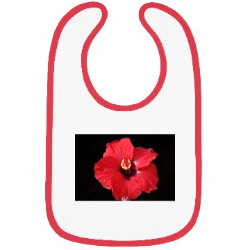 Discover Red Hibiscus on Black Bibs