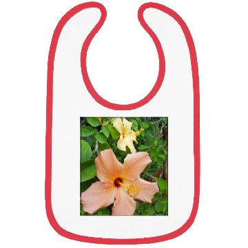 Discover Hibiscus 5 Bibs