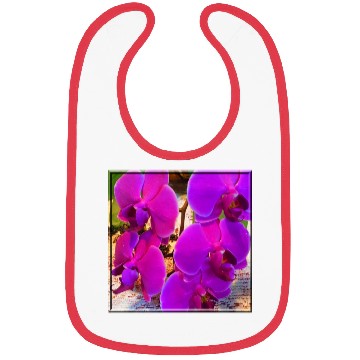 Discover Orchid 4 Bibs