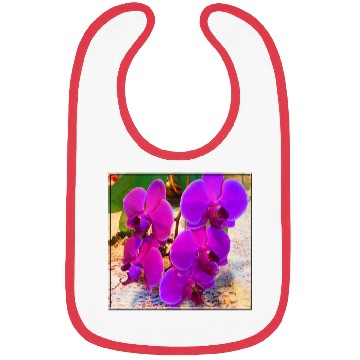 Discover Orchid 3 Bibs