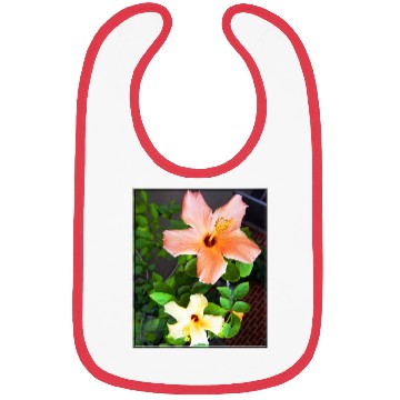 Discover Hibiscus 4 Bibs