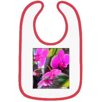 Discover Orchid 1 Bibs
