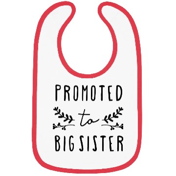 Discover promoted to big sister Bibs