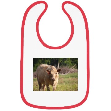 Discover Cow Bibs
