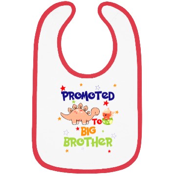 Discover promoted to big brother Bibs