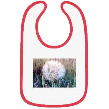 Discover Beautiful Look at a Western Salsify #101 Bibs