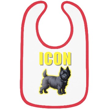Discover Icon Boy Bibs