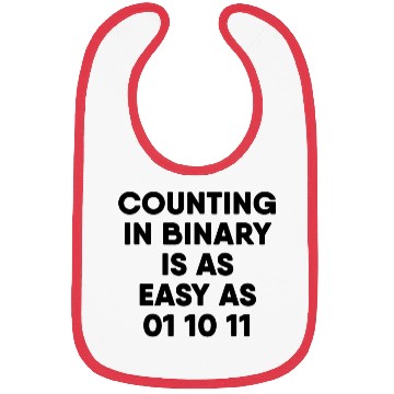 Discover Computer Science Counting in Binary Bibs