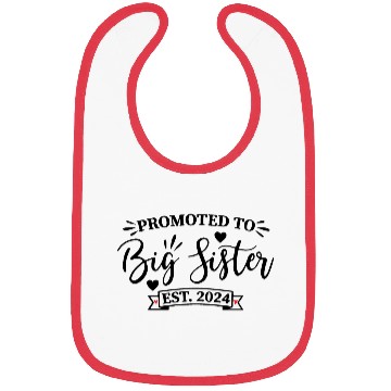 Discover promoted to big sister Bibs