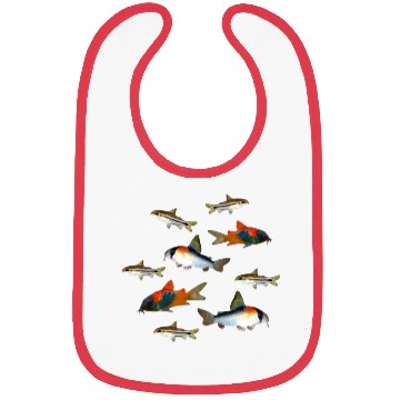 Discover Pygmy Corydoras Adolfoi Corydoras Catfish Aquarium Bibs