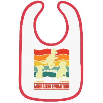 Discover Labrador Lover LABRADOR EVOLUTION Funny Bibs