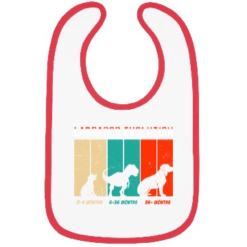Discover Labrador EVOLUTION Labrador Lovers Funny Bibs
