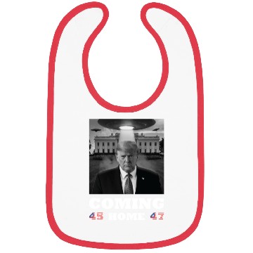 Discover Trump Coming Home with UFOs over the White House Bibs