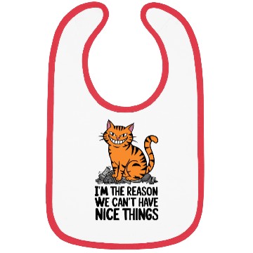 Discover Orange Tabby Cat Reason We Can't Have Nice Things Bibs