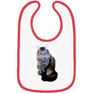 Discover Indie the Cute Cat Bibs