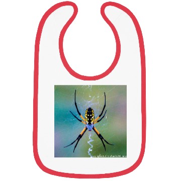 Discover Garden Spider Bibs