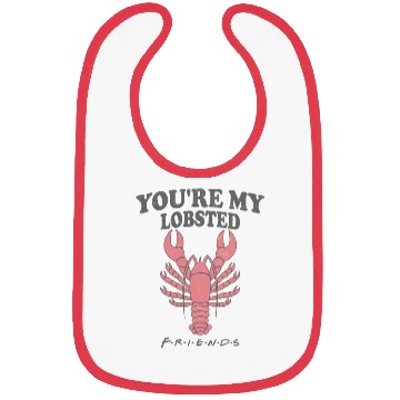 Discover Friends You re My Lobster Rachel Ross Bibs