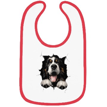 Discover Saint Bernard Bibs