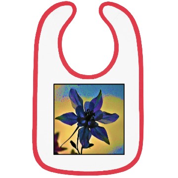 Discover Columbine Color Bibs