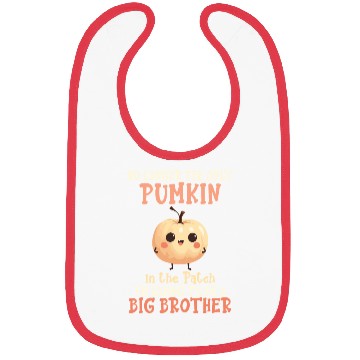 Discover Pregnancy this little pumpkin is going to be a big Bibs