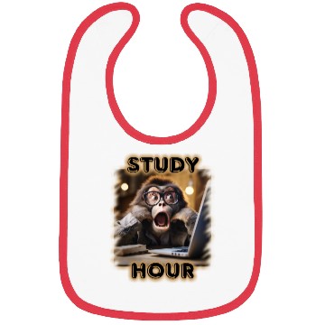 Discover study hour Bibs