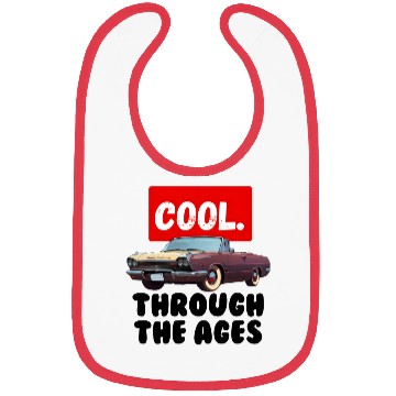 Discover Cool Through the Ages Birthday Bibs