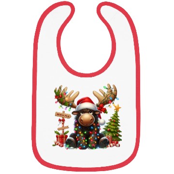 Discover North Pole Readers Bibs