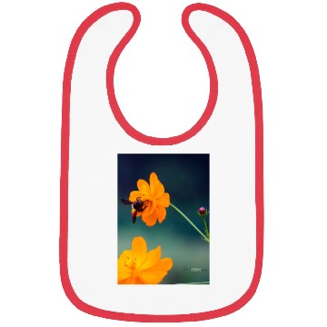 Discover Nature bee Bibs