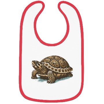 Discover Turtle Bibs