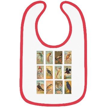 Discover Vintage Exotic Bird Illustration Collection Bibs