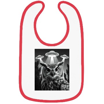 Discover UFO Funny Owl Bibs