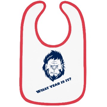 Discover What year is it? Bibs