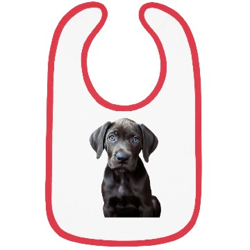 Discover Great Dane Bibs