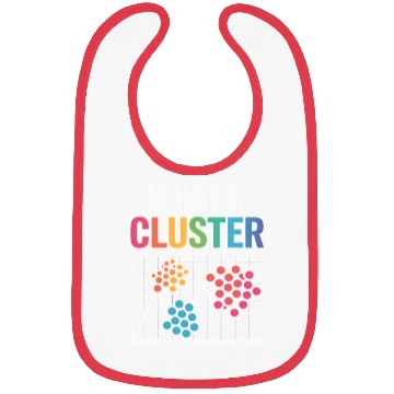 Discover What A Cluster Data Scientist Bibs