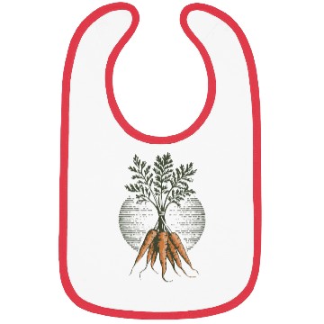 Discover Organic Carrot Plant Art Illustration Bibs
