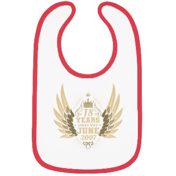 Discover Unique angel with wings 18th birthday celebration Bibs