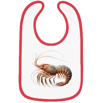 Discover Ocean Elegance : The Grace of a Shrimp Bibs