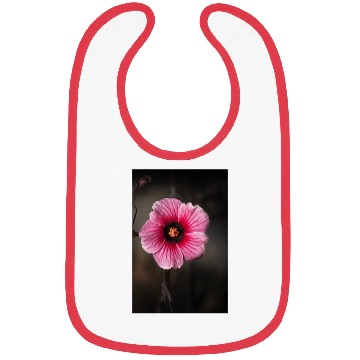 Discover Hibiscus acetosella or cranberry hibiscus Bibs