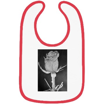 Discover Realistic Graphite Rose & Dew Drawing - RT Art © Bibs