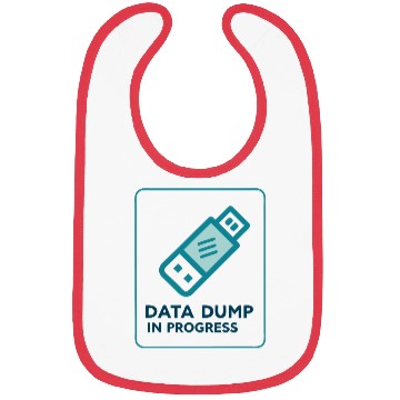 Discover Data Dump In Progress USB Drive 2000s Bibs