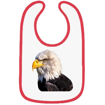 Discover 1 Eagle Bibs