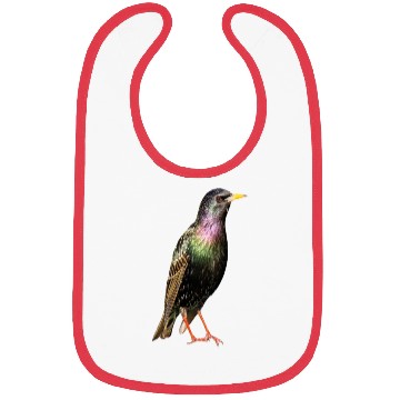 Discover 3 Bird Bibs